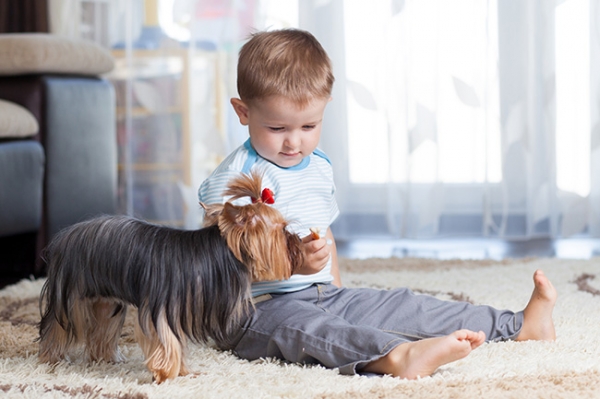 Raising Pets With Children