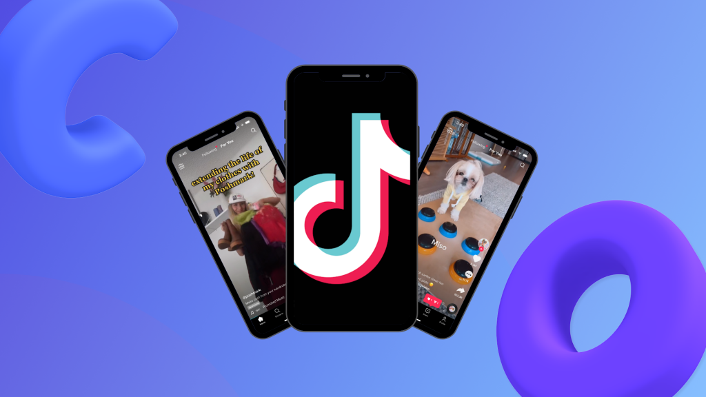 TikTok Video Downloader